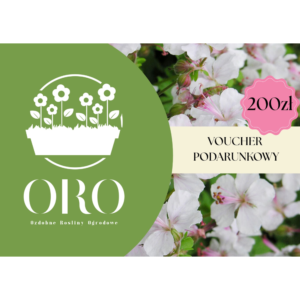 Voucher Podarunkowy 200 zł