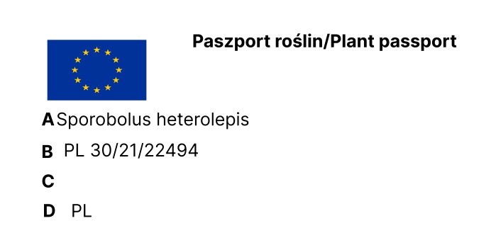 Untitled (7)_page-0001